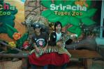 Sriracha_Tiger_Zoo_12.JPG