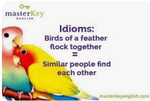 Birds_of_a_feather_flock_together_idiom.jpg.e8cdd2dd44311efaf93d83f55652da5c.jpg