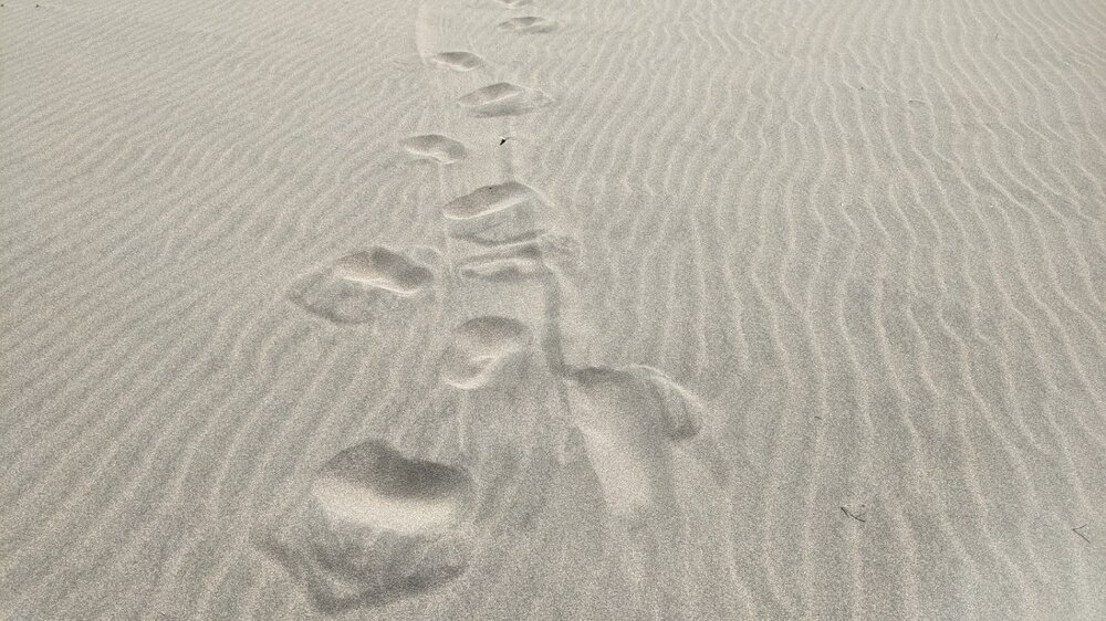 footprints.jpg