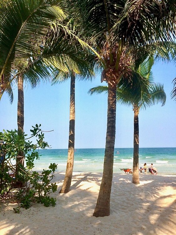 Phu_Quoc_mr12.thumb.jpg.115267aab66dd2351292ce41b837a56a.jpg