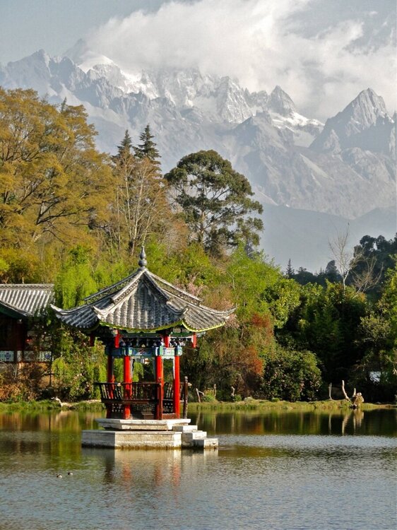 Yunnan_mr123.thumb.jpg.75606c842d3ffcd32f47bd5a24f39b5b.jpg