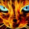 firecat69